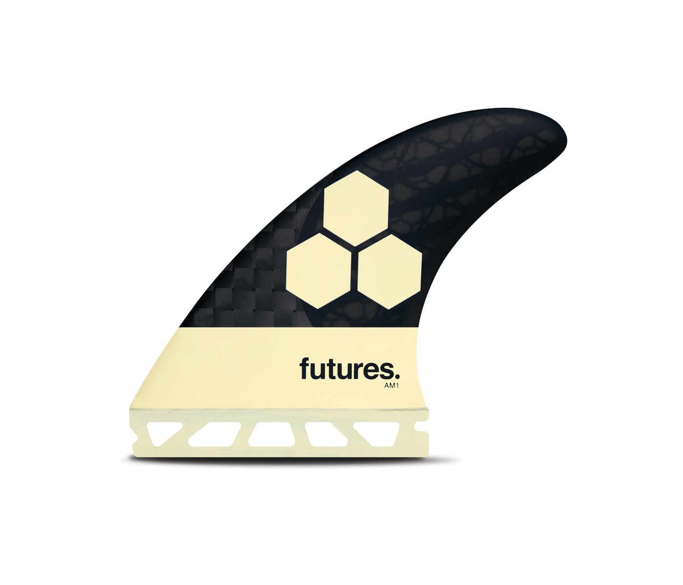 は自分にプチご褒美を futures. フューチャフィン AM1 アルメリック ...